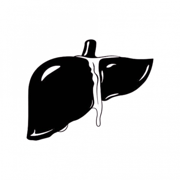 liver-removebg-preview liver-removebg-preview