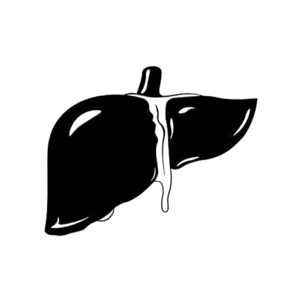 liver-removebg-preview liver-removebg-preview