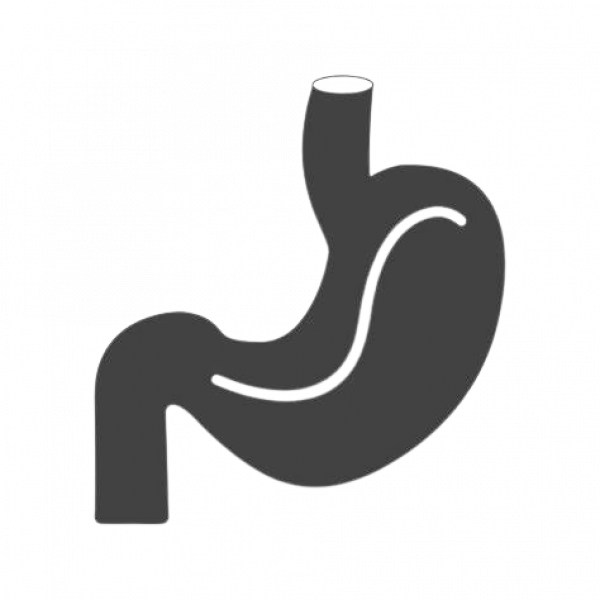 stomach-removebg-preview stomach-removebg-preview